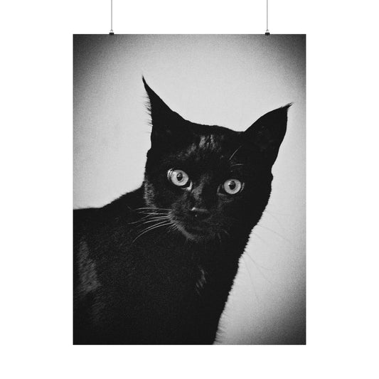 "The Startled Black Cat" Matte Vertical Posters