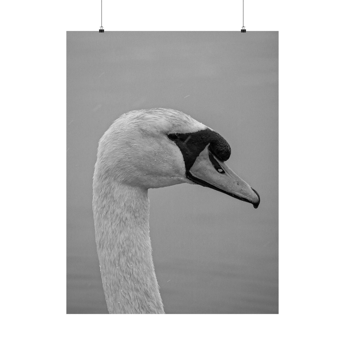 "The Swan" Matte Vertical Posters