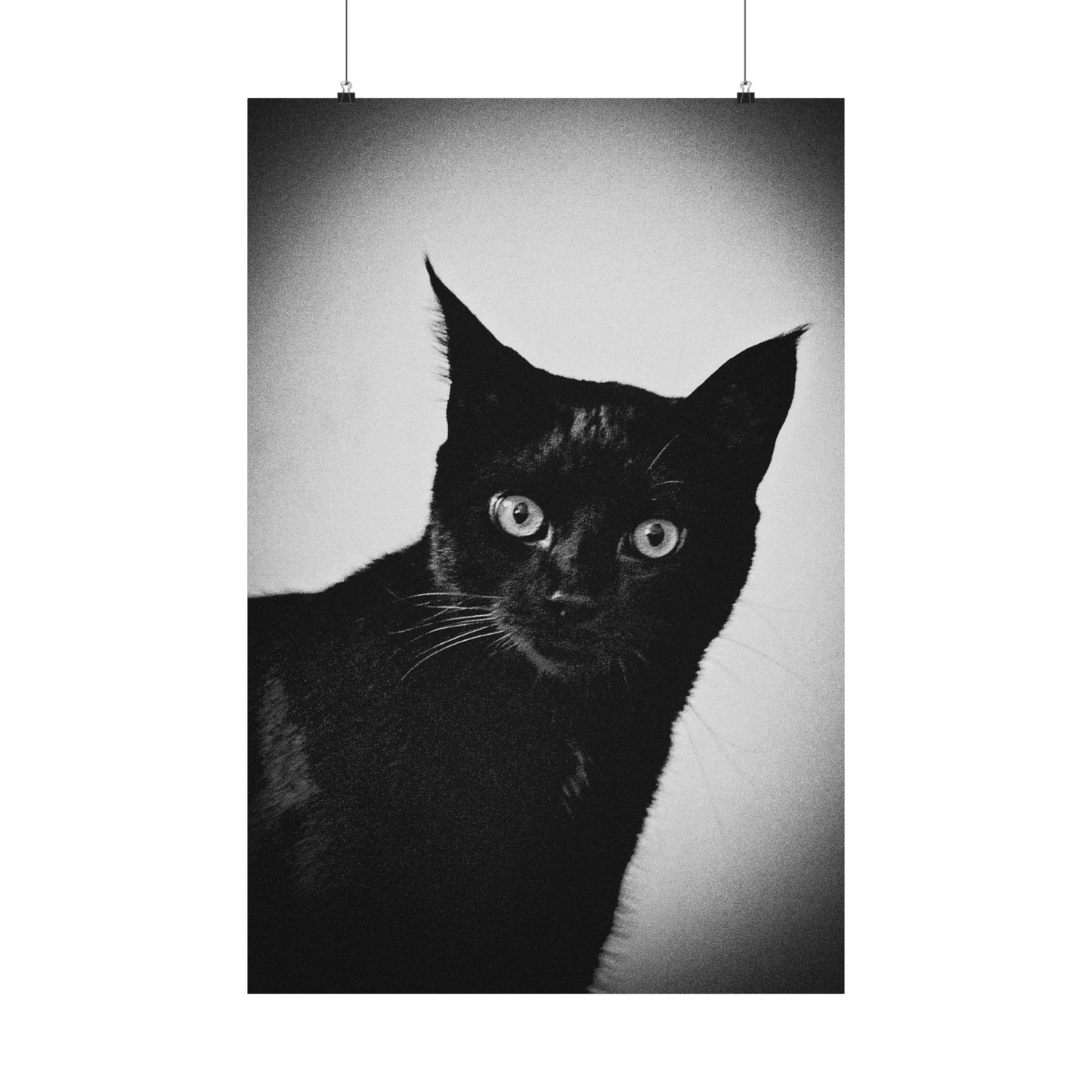 "The Startled Black Cat" Matte Vertical Posters