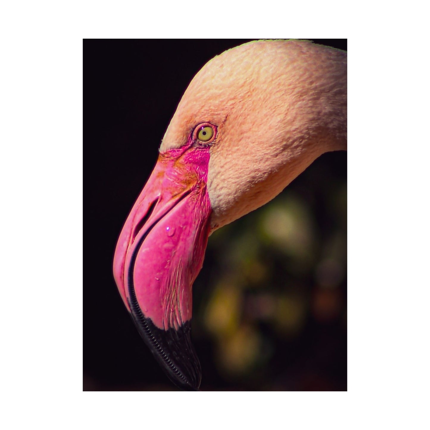 "The Flamingo" Matte Vertical Posters